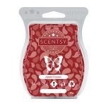 Apple S'mores Scentsy Bar