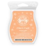 a wink and a smile scentsy bar review