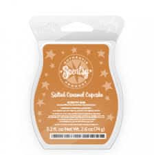 Salted Caramel Cupcake Scentsy Bar