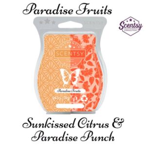scentsy sunkissed citrus and scentsy paradise punch mixology recipe