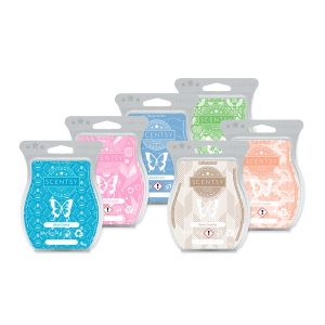 6 Scentsy Bar Multi-Pack