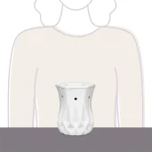 Alabaster Scentsy Warmer Video