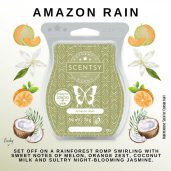 Amazon Rain Scentsy UK Bar Video