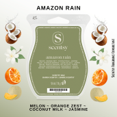 Amazon Rain Scentsy Wax Bar