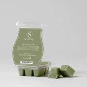 Amazon Rain Scentsy Wax Bar Melt