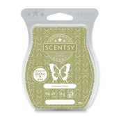 Amazon Rain Scentsy Wax Melt