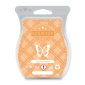 Autumn Sunset Scentsy Bar