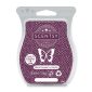 Black Raspberry Vanilla Scentsy Bar