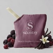 Black Raspberry Vanilla Scentsy Scent Pak Styled