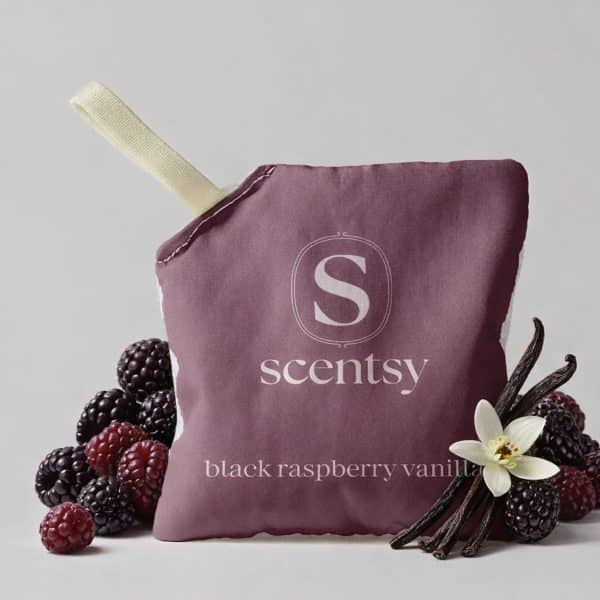 Black Raspberry Vanilla Scentsy Scent Pak Styled Black Raspberry Vanilla Scentsy Scent Pak Styled