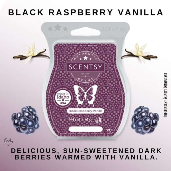 Black Raspberry Vanilla Scentsy Bar