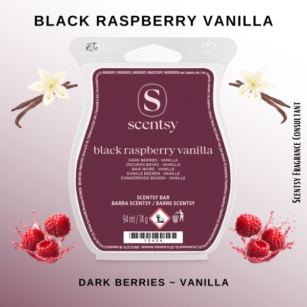 Black Raspberry Vanilla Scentsy Wax Bar Black Raspberry Vanilla Scentsy Wax Bar