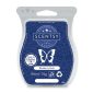 Blueberry Rush Scentsy Bar