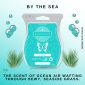 By The Sea Scentsy Bar