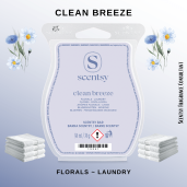 Clean Breeze Scentsy Wax Bar