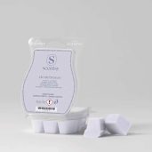Clean Breeze Scentsy Wax Bar Melt