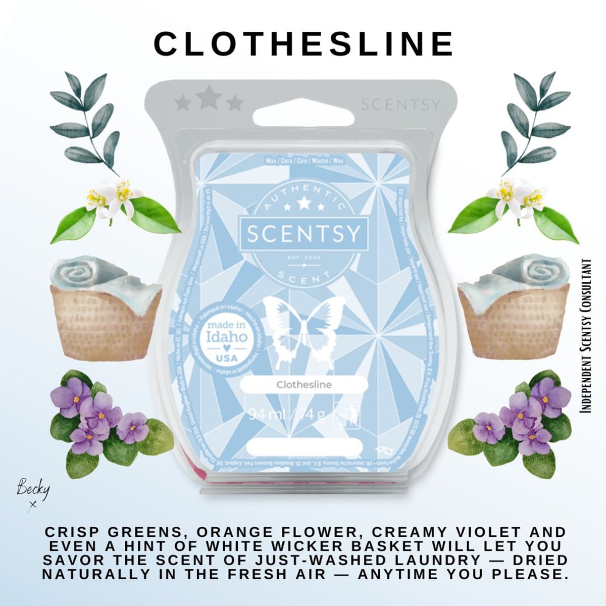 Clothesline Scentsy Bar – The Candle Boutique - Scentsy UK Consultant