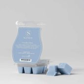 Clothesline Scentsy Wax Bar Melt