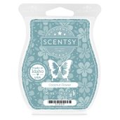 Coconut Flower Scentsy Bar