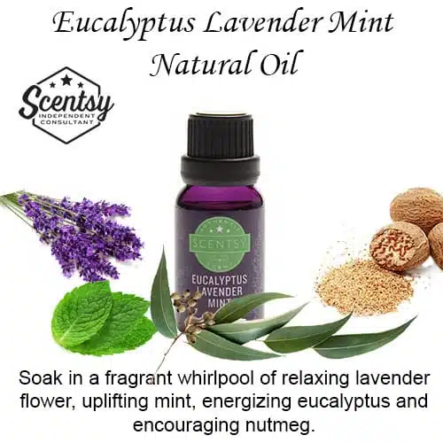 Eucalyptus Lavender Mint Scentsy Diffuser Oil