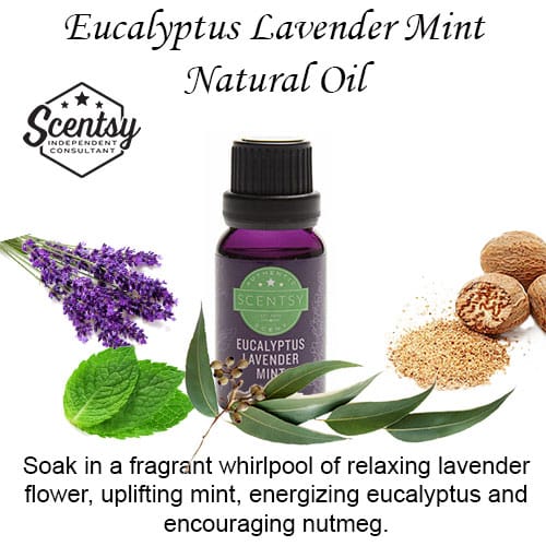 Eucalyptus Lavender Mint Scentsy Diffuser Oil