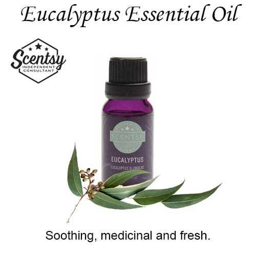 Eucalyptus Scentsy Essential Oil