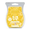 Fresh Cut Daisies Scentsy Bar