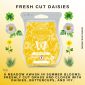 Fresh Cut Daisies Scentsy Bar