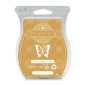 Frosted Ginger Cookie Scentsy Bar