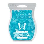 Give Me Passionflower Scentsy Bar