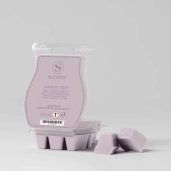 Jammy Time Scentsy Wax Bar Melts