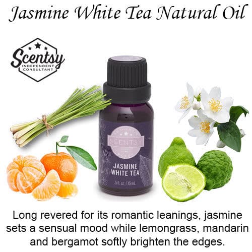 Jasmine White Tea Scentsy Natural Oil Blend The Candle Boutique Scentsy UK Consultant