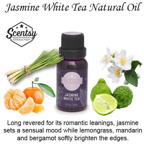 Jasmine White Tea Scentsy Natural Oil