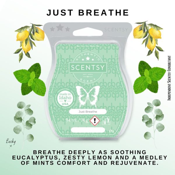 Just Breathe Scentsy Bar