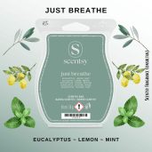 Just Breathe Scentsy Wax Bar