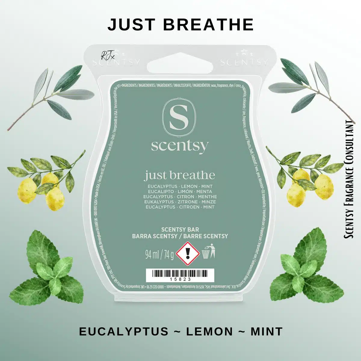 Just Breathe Scentsy Wax Bar Just Breathe Scentsy Wax Bar