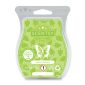 Lemon Verbena Scentsy Bar