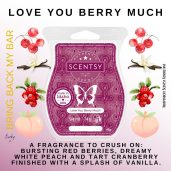 Love You Berry Much Scentsy Bar