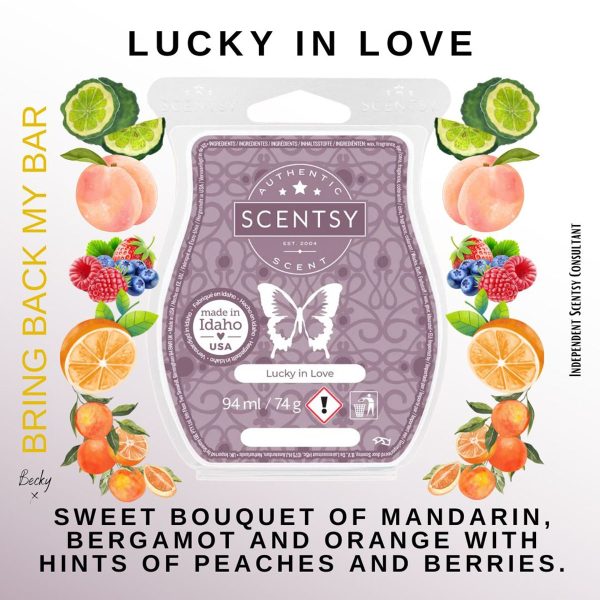 Lucky In Love Scentsy Bar