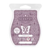 Lucky in Love Scentsy Bar