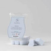 Luna Scentsy Wax Bar Melt