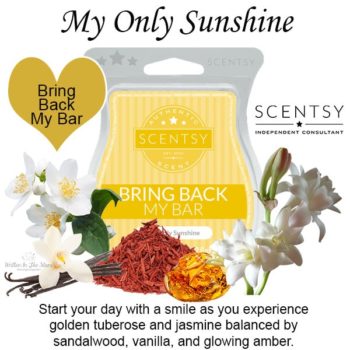 My Only Sunshine Scentsy Bar My Only Sunshine Scentsy Bar