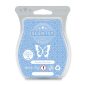 Newborn Nursery Scentsy Bar