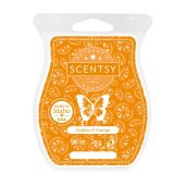 Oodles Of Orange Scentsy Wax Bar Melt