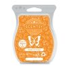 Oodles Of Orange Scentsy Bar