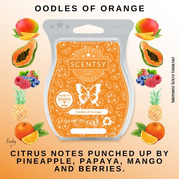 Oodles Of Orange Scentsy Bar