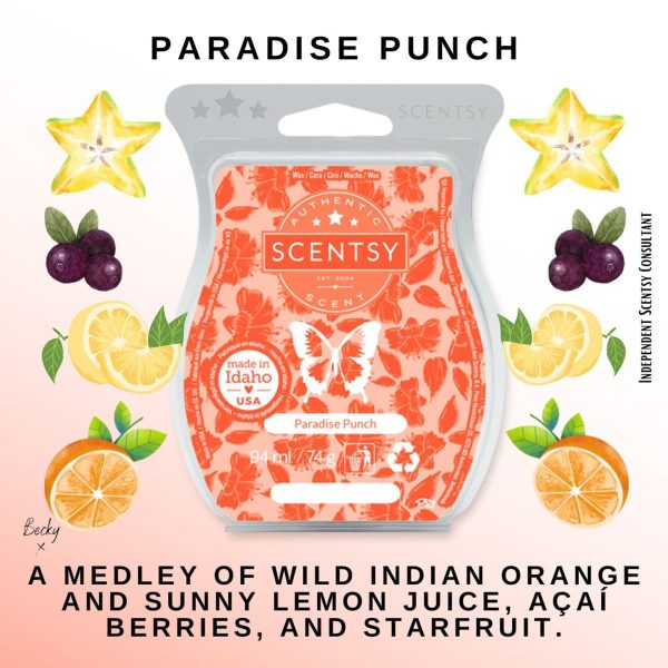 Paradise Punch Scentsy Bar