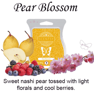 Pear Blossom Scentsy Bar