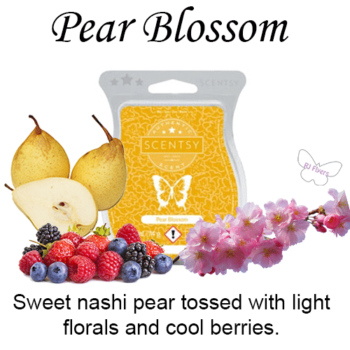 Pear Blossom Scentsy Bar Pear Blossom Scentsy Bar