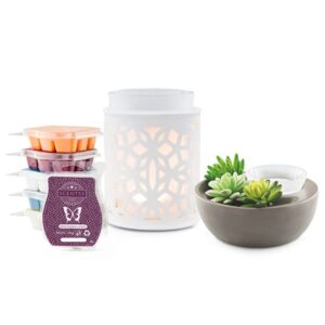 Perfect Scentsy - 2 x £48 Warmers & 6 Bar
